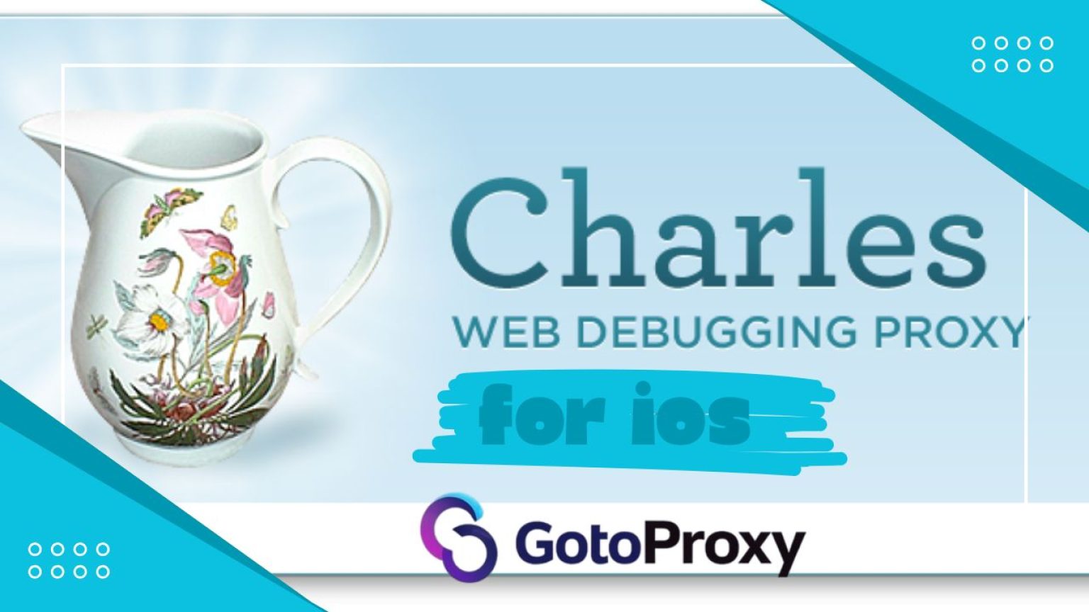 Charles Proxy for iOS Development: Complete Setup Guide 2025 ...